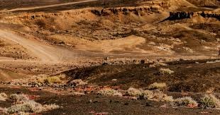 corporate services 7